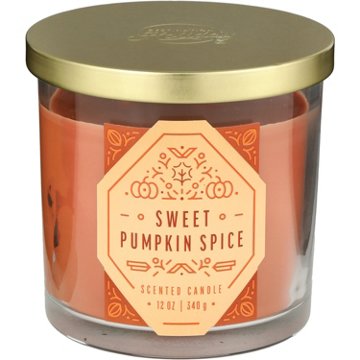 Destination Holiday Sweet Pumpkin Spice Scented 2 Wick Jar Candle, 12 oz