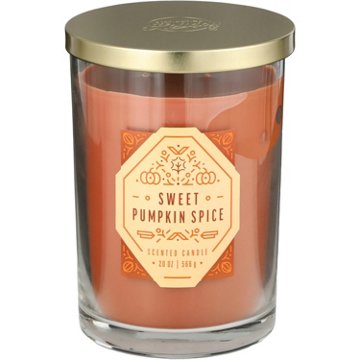 Destination Holiday Sweet Pumpkin Spice Scented 2 Wick Jar Candle