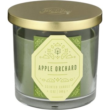 Destination Holiday Apple Orchard Scented 2 Wick Jar Candle