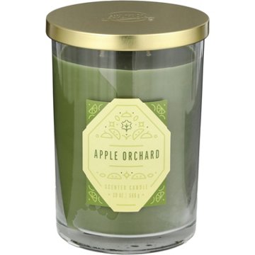 Destination Holiday Apple Orchard Scented 2 Wick Jar Candle, 20 oz