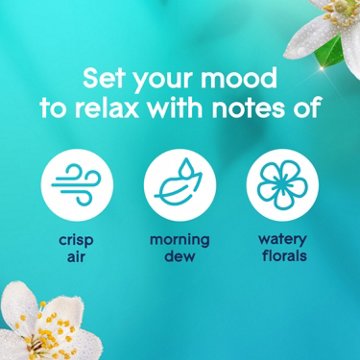 Glade Plug In Scented Oil 2 Count Refills - Dewdrop Petals - 1.34 oz
