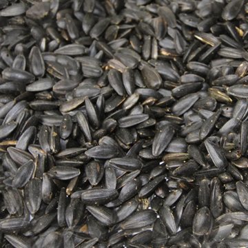 Thomas Moore Feed Black Oil Sunflower Seed, 20 lb