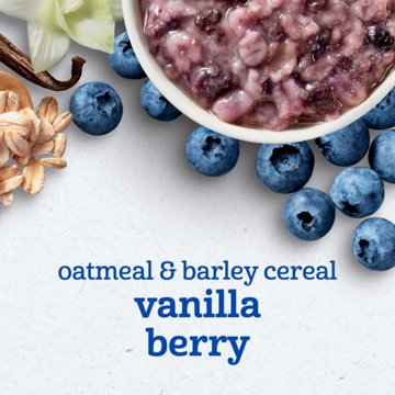 Gerber Oatmeal & Barley - Vanilla Berry Cereal, 4.5 oz