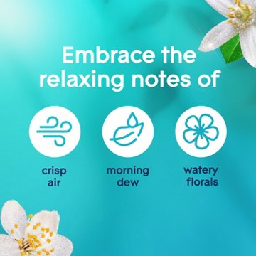Glade Odor Fighting Soft Mist Air Freshener - Dew Drop Petals