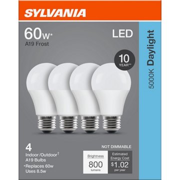 SYLVANIA A19 60 Watt LED Daylight Frost Bulb, 2 pk