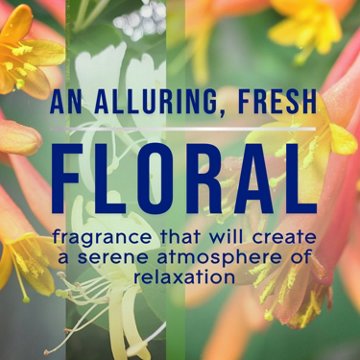 Glade Plug In Scented Oil - Fresh Jasmine & Honeysuckle - 3.35 oz