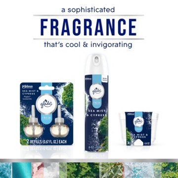 Glade Plug In Scented Oils - Fresh Sea Mist & Cypress - 1.34 oz