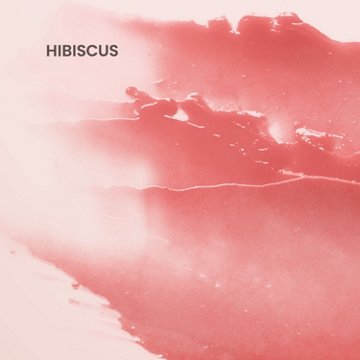 Burt's Bees Tinted Lip Balm - Hibiscus