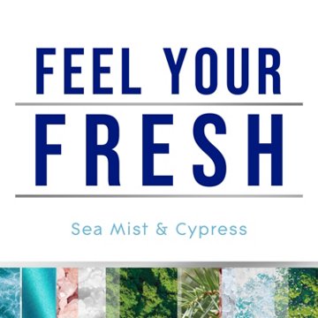 Glade Automatic Spray Refill - Fresh Sea Mist & Cypress