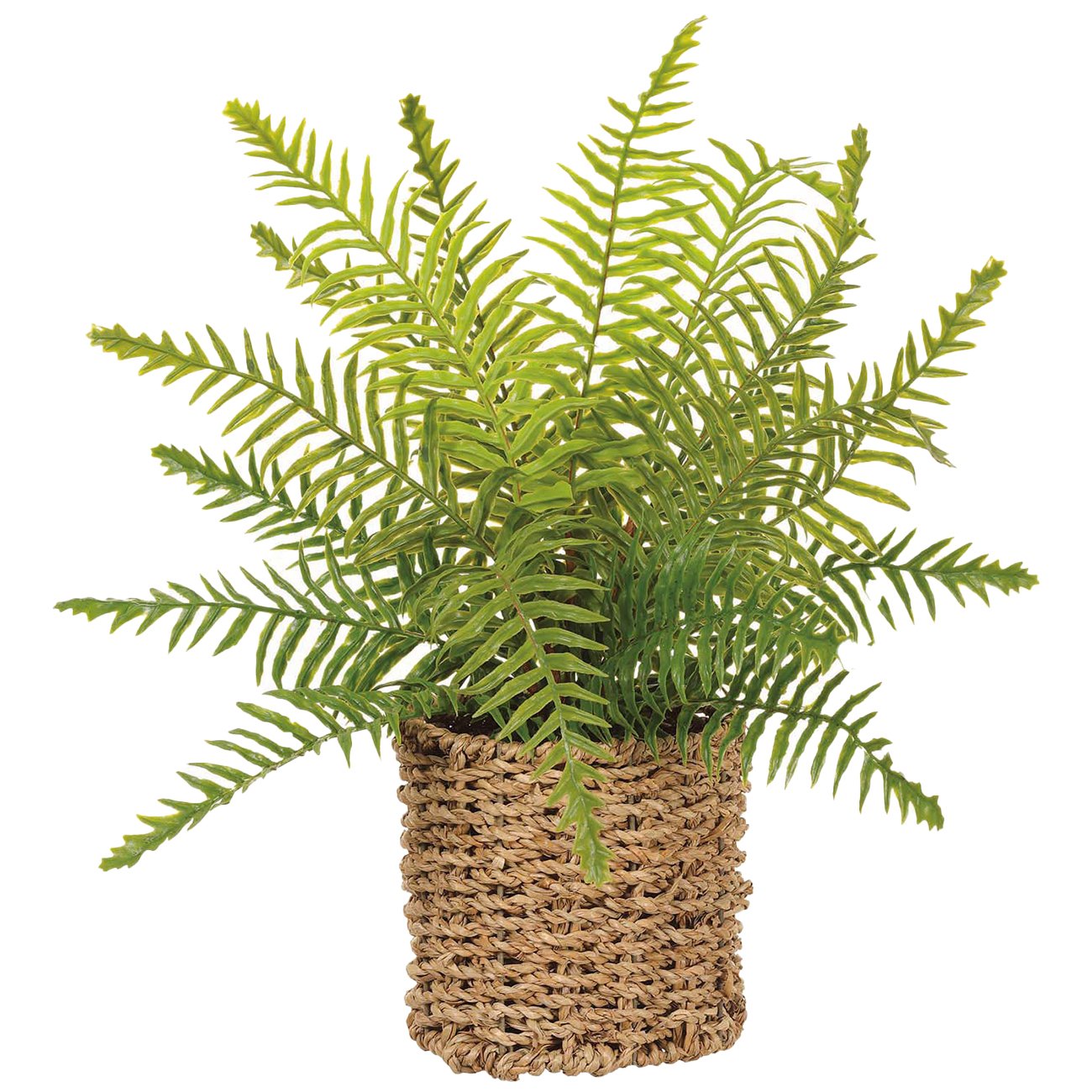 Allstate Floral Boston Fern Faux Plant in Basket - Shop Seasonal decor ...