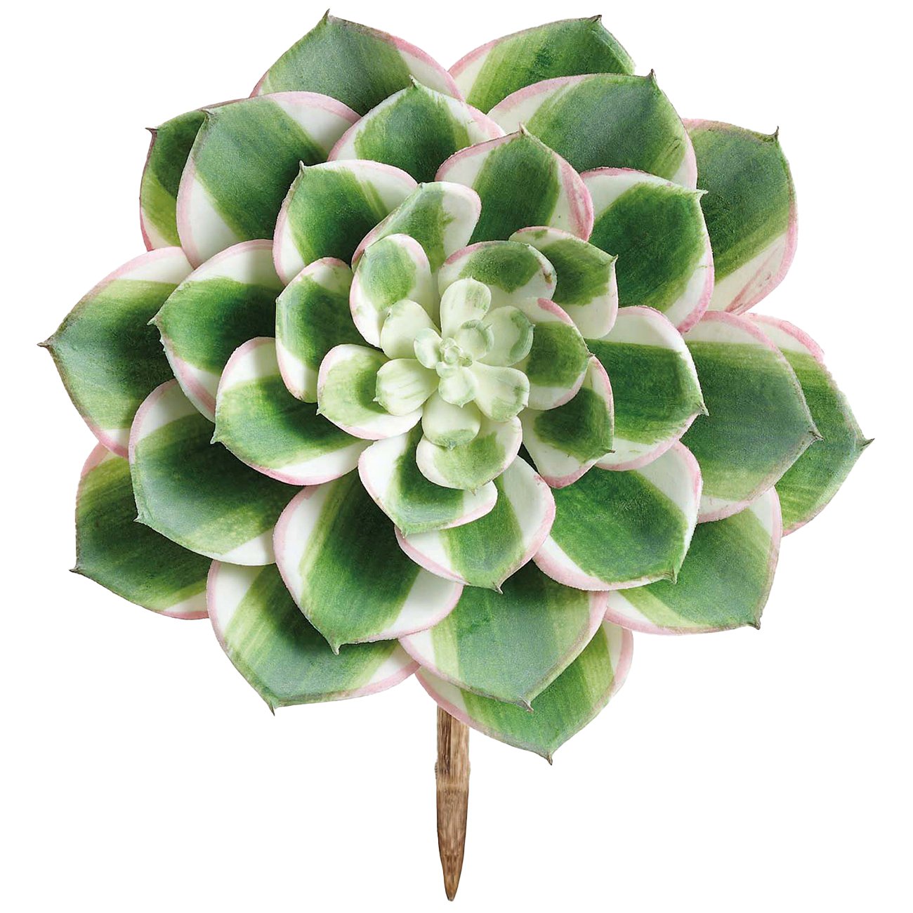 Allstate Floral Real Touch Sunburst Aeonium Faux Botanical Pick - Shop ...