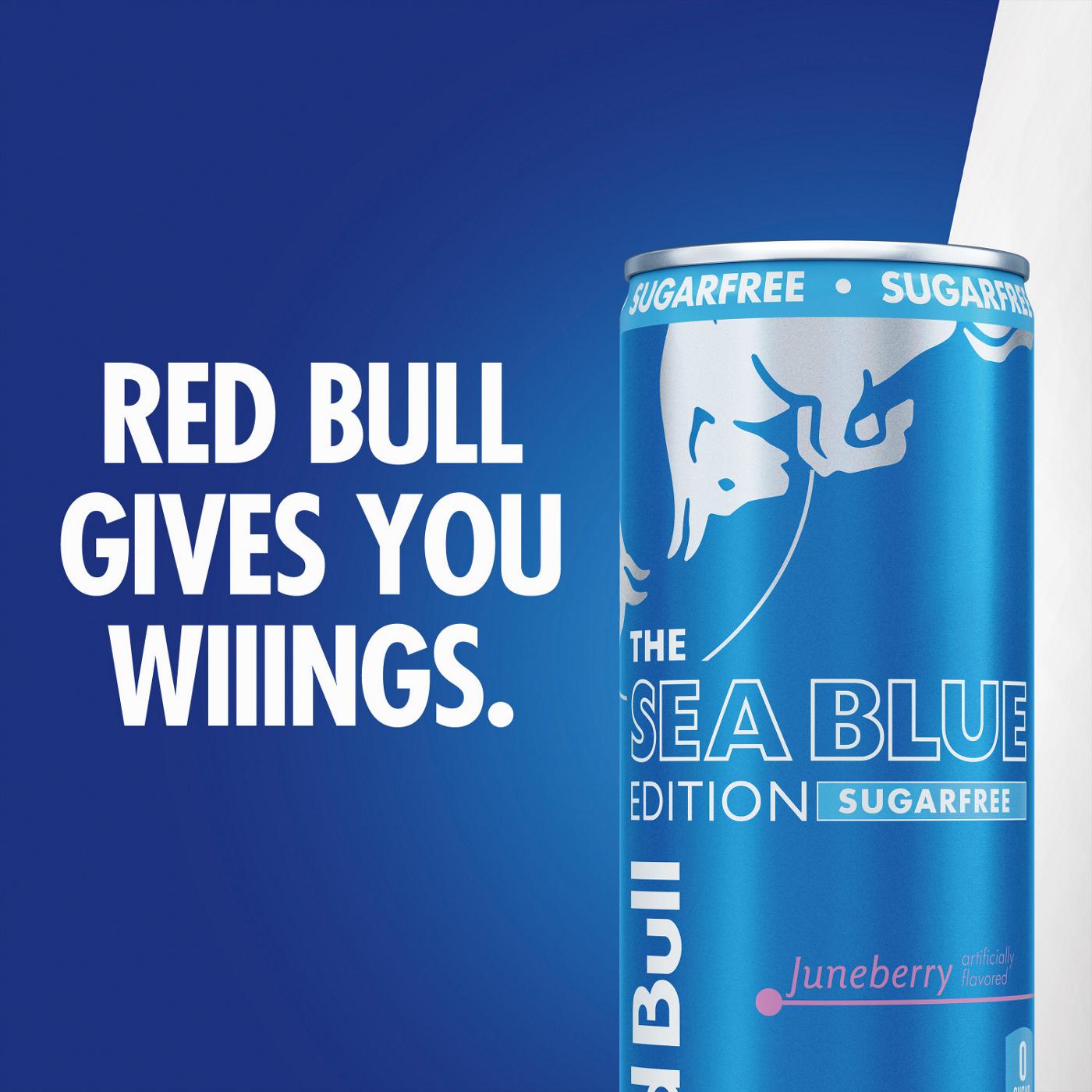 Red Bull Sugar Free Sea Blue Edition Juneberry Energy Drink 4 pk Cans; image 3 of 8