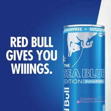 Red Bull Sugar Free Sea Blue Edition Juneberry Energy Drink 4 pk Cans, 12 oz