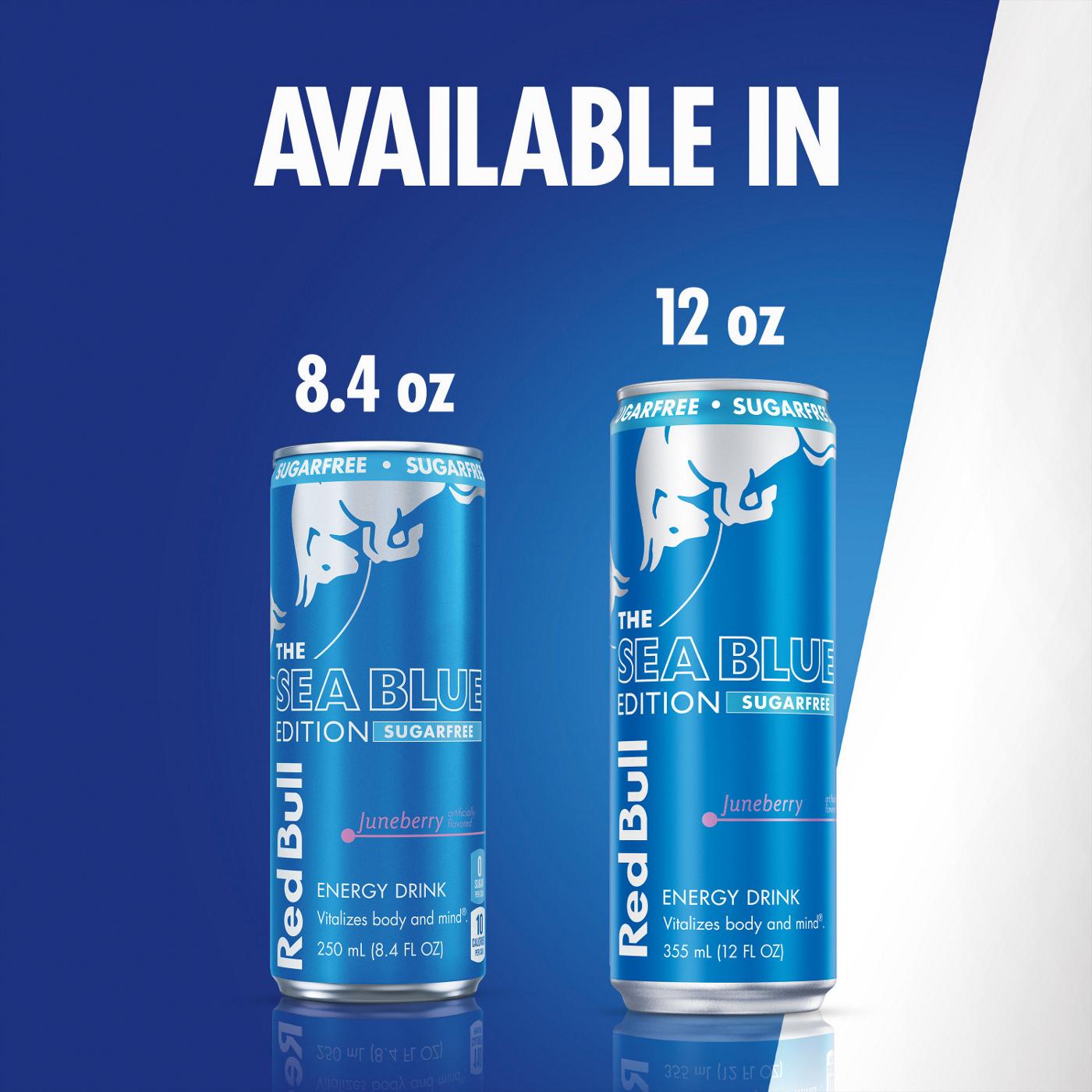 Red Bull Sugar Free Sea Blue Edition Juneberry Energy Drink 4 pk Cans; image 6 of 8