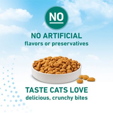 Purina ONE LiveClear Allergen-Reducing Cat Food Dry Formula - Real Chicken As The Number One Ingredient