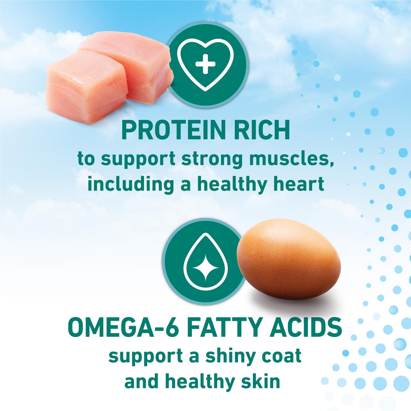 Purina ONE LiveClear Allergen-Reducing Cat Food Dry Formula - Real Chicken As The Number One Ingredient; image 5 of 9