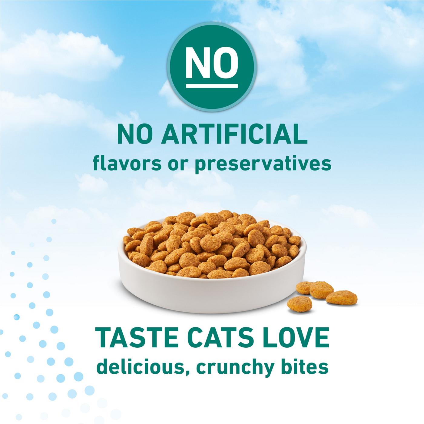 Purina ONE LiveClear Allergen-Reducing Cat Food Dry Formula - Real Chicken As The Number One Ingredient; image 6 of 9