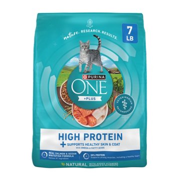 Purina ONE Plus High Protein Dry Cat Food Skin and Coat Health Formula - Salmon and Ocean Whitefish