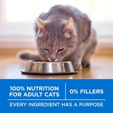 Purina ONE Plus High Protein Dry Cat Food Skin and Coat Health Formula - Salmon and Ocean Whitefish