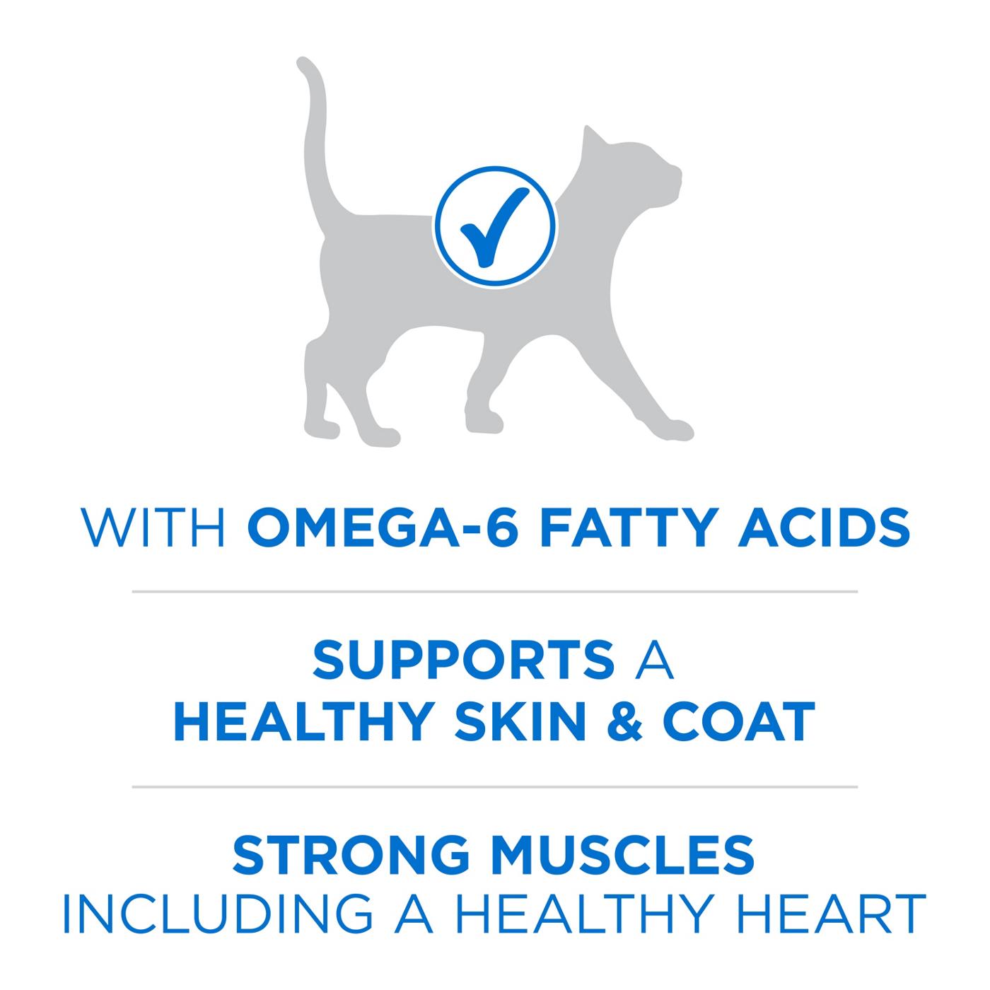 Purina ONE Plus High Protein Dry Cat Food Skin and Coat Health Formula - Salmon and Ocean Whitefish; image 3 of 5