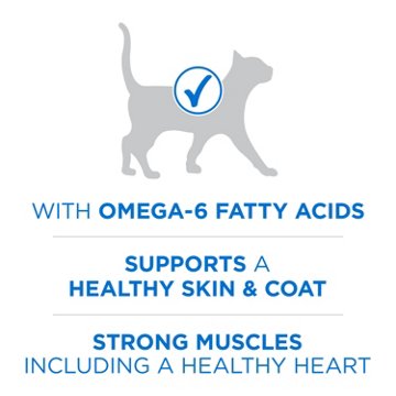 Purina ONE Plus High Protein Dry Cat Food Skin and Coat Health Formula - Salmon and Ocean Whitefish