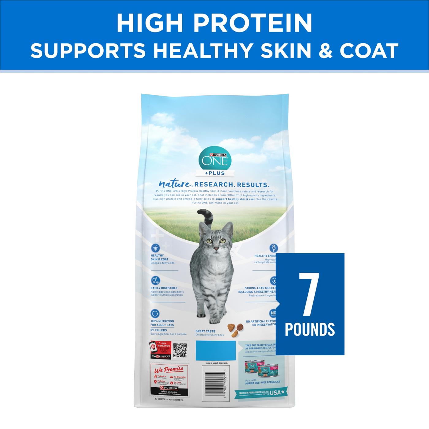 Purina ONE Plus High Protein Dry Cat Food Skin and Coat Health Formula - Salmon and Ocean Whitefish; image 4 of 5