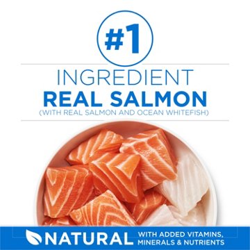 Purina ONE Plus High Protein Dry Cat Food Skin and Coat Health Formula - Salmon and Ocean Whitefish