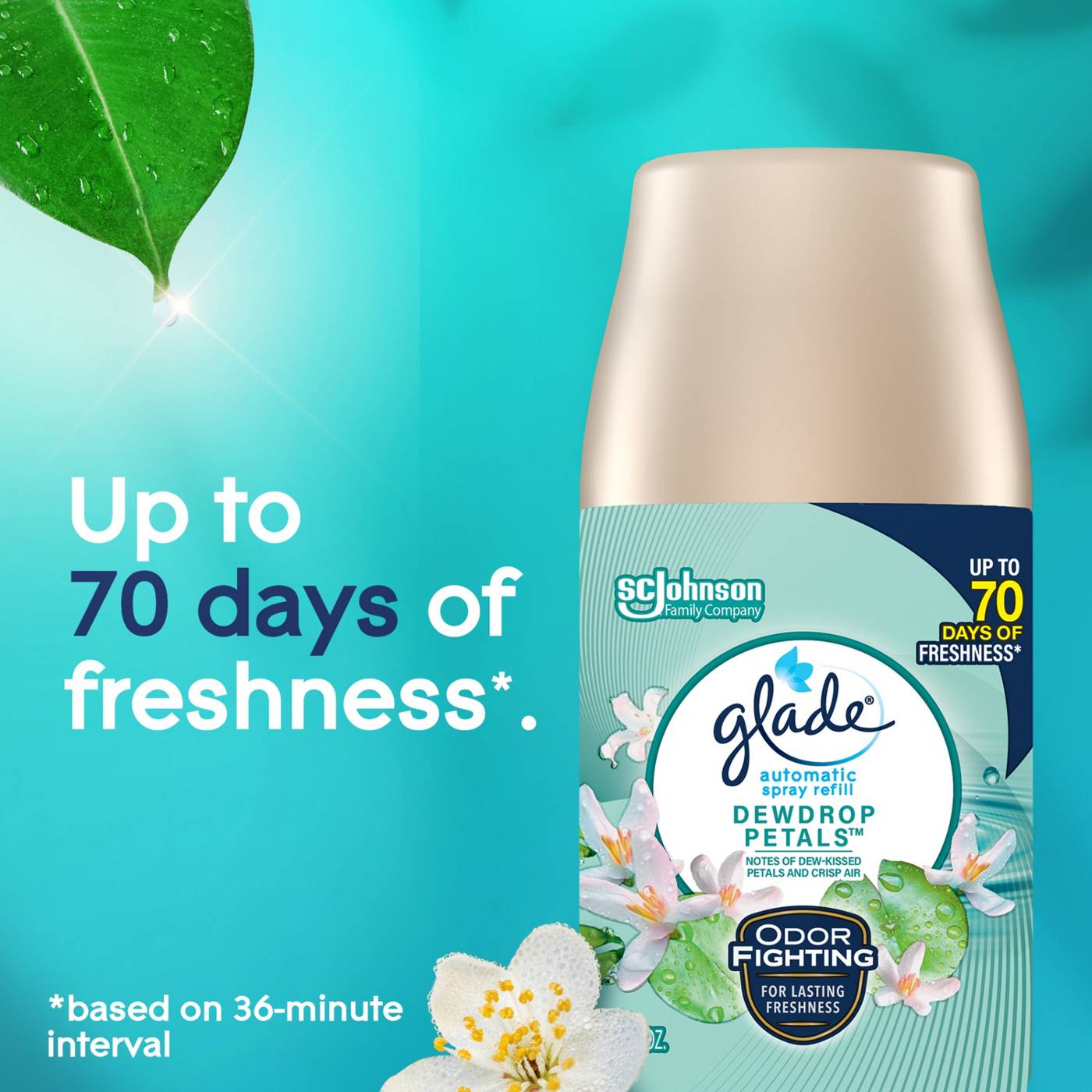 Glade Automatic Spray Refill Value Pack -  Dewdrop Petal, 6.2 oz; image 7 of 8