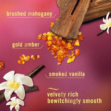 Febreze Luxe Plug In Air Freshener Odor-Fighting Scented Oil Refill - Vanilla Suede, 2 ct