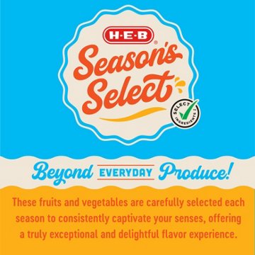 H-E-B Season's Select Fresh Roma Tomatoes, 14 oz