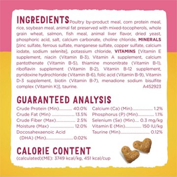 Kitten Chow Purina Healthy Development Cat Food - Real Salmon, 3.15 lb