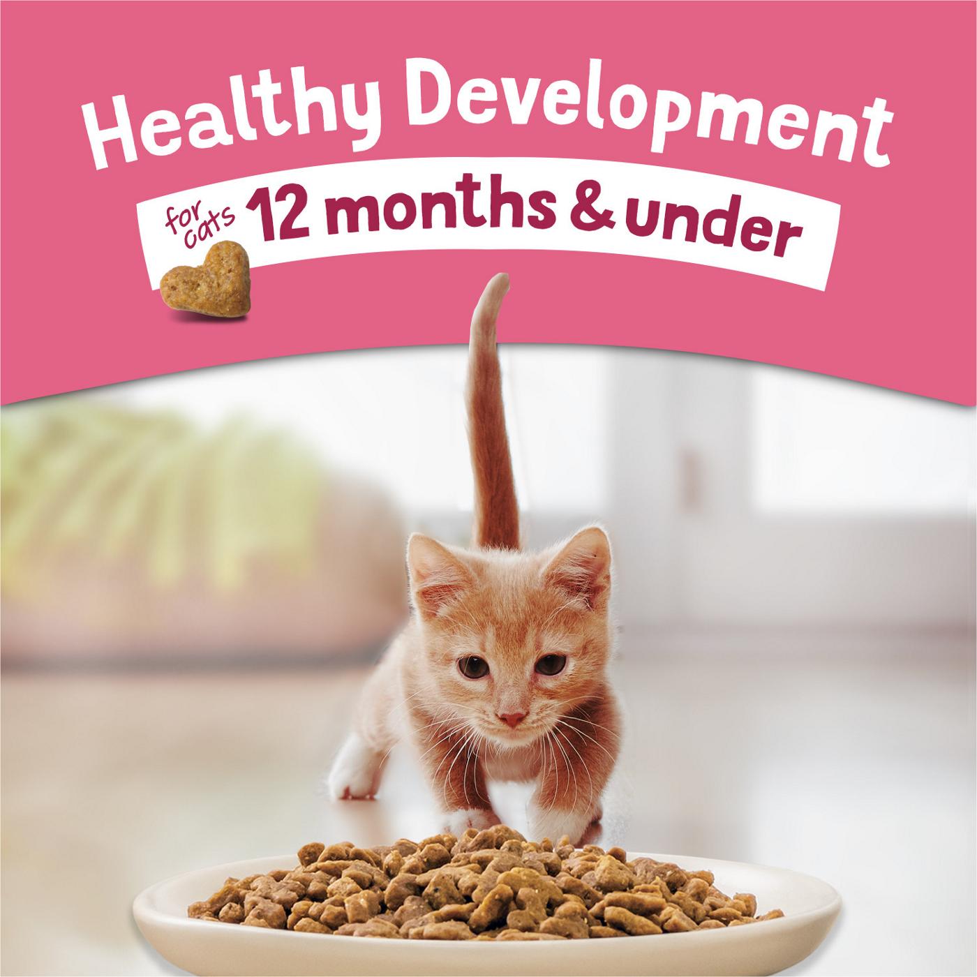 Kitten Chow Purina Healthy Development Cat Food - Real Salmon; image 2 of 10