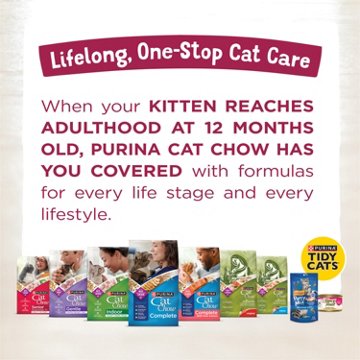 Kitten Chow Purina Healthy Development Cat Food - Real Salmon, 3.15 lb