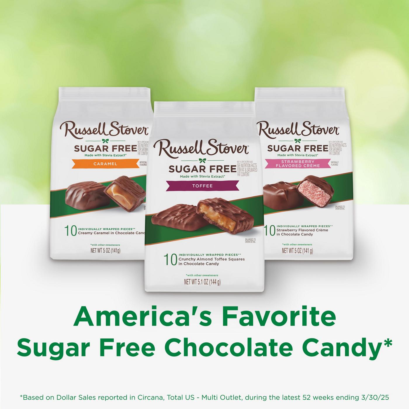 Russell Stover Sugar Free Toffee Squares in Chocolate Candy; image 5 of 10