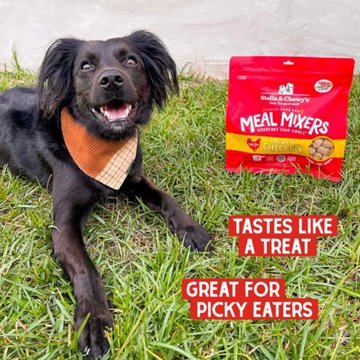 Stella & Chewy's Dog Freeze Dried Meal Mixers - Chicken, 3.5 oz