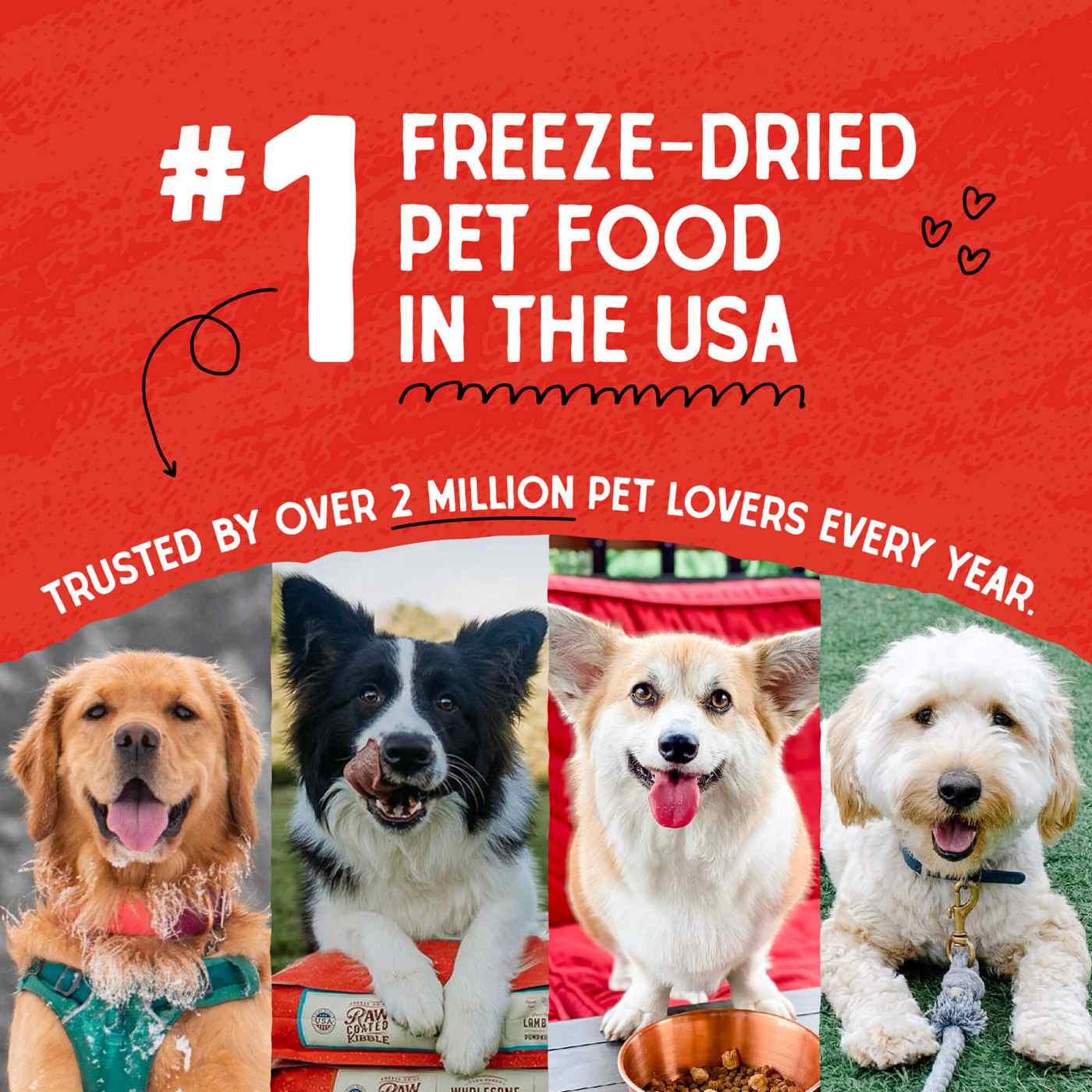 Stella & Chewy's Dog Freeze Dried Meal Mixers - Chicken; image 8 of 12