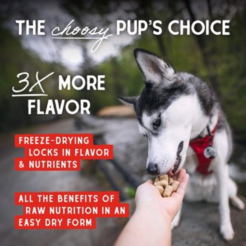 Stella & Chewy's Dog Freeze Dried Meal Mixers - Chicken