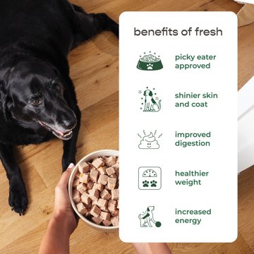 Freshpet Select Healthy & Natural Dog Food for Senior Dogs - Fresh Chicken Roll