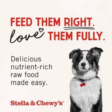 Stella & Chewy's Dog Freeze-Dried Patties - Chicken Dinner