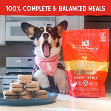 Stella & Chewy's Dog Freeze-Dried Patties - Chicken Dinner