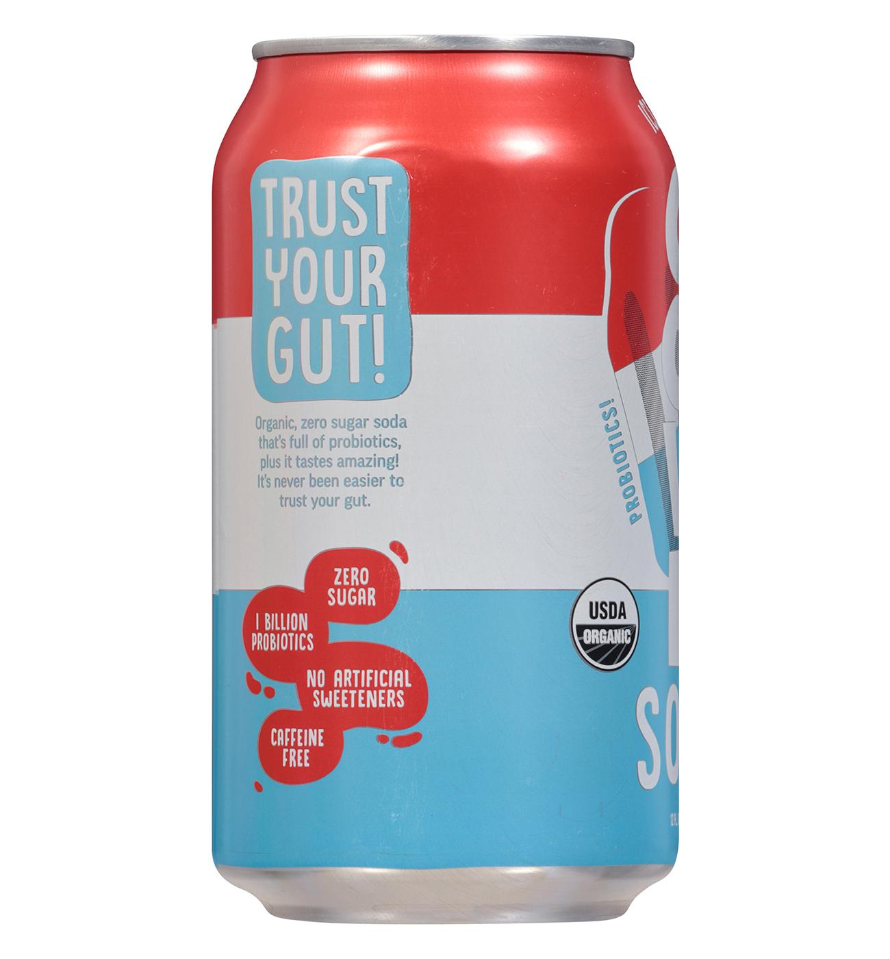 Cove Organic Zero Sugar Probiotic Soda - Ice Pop; image 3 of 4