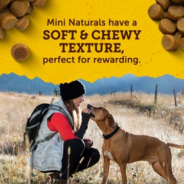 Zuke's Mini Naturals Dog Training Treats - Real Beef, 3 oz