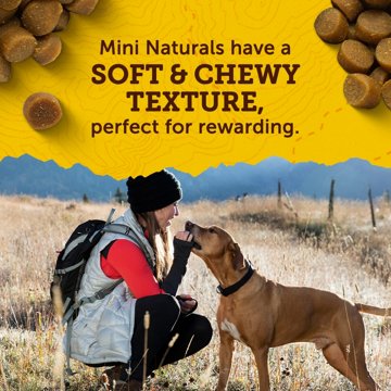 Zuke's Mini Naturals Dog Training Treats for Dogs with Real Chicken