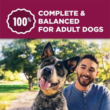 Dog Chow Purina Tender and Crunchy Adult Dry Dog Food - Real Lamb and Turkey Flavor
