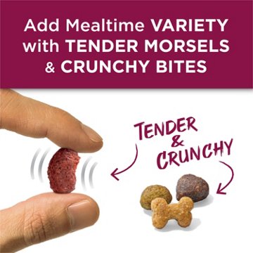 Dog Chow Purina Tender and Crunchy Adult Dry Dog Food - Real Lamb and Turkey Flavor