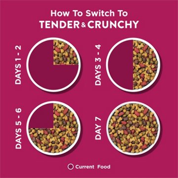 Dog Chow Purina Tender and Crunchy Adult Dry Dog Food - Real Lamb and Turkey Flavor