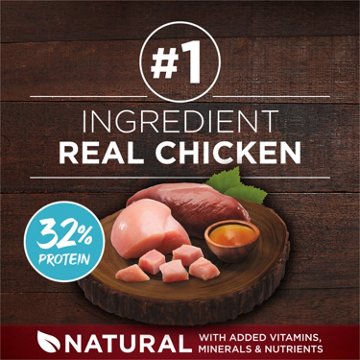 Purina ONE True Instinct High Protein Puppy Food Formula Natural - Real Chicken and Duck