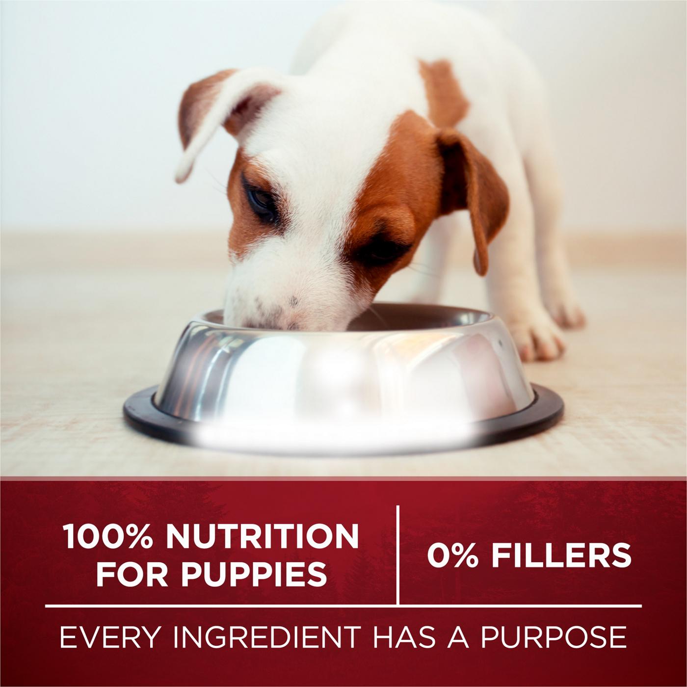 Purina ONE True Instinct High Protein Puppy Food Formula Natural - Real Chicken and Duck; image 4 of 9