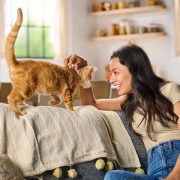 Meow Mix Gravy Bursts Cat Food - Savory Chicken Flavor Kibble Mix