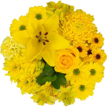 BLOOMS by H-E-B Lone Star Living TexFest Bouquet, Assorted